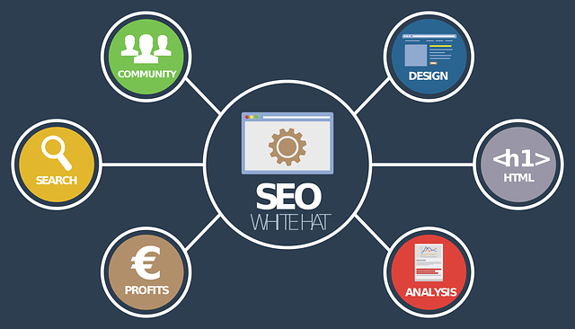 seo, analysis online, the community manager seo, analysis online, the community manager