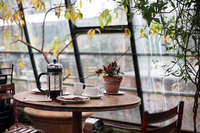conservatory, coffee, plants conservatory, coffee, plants