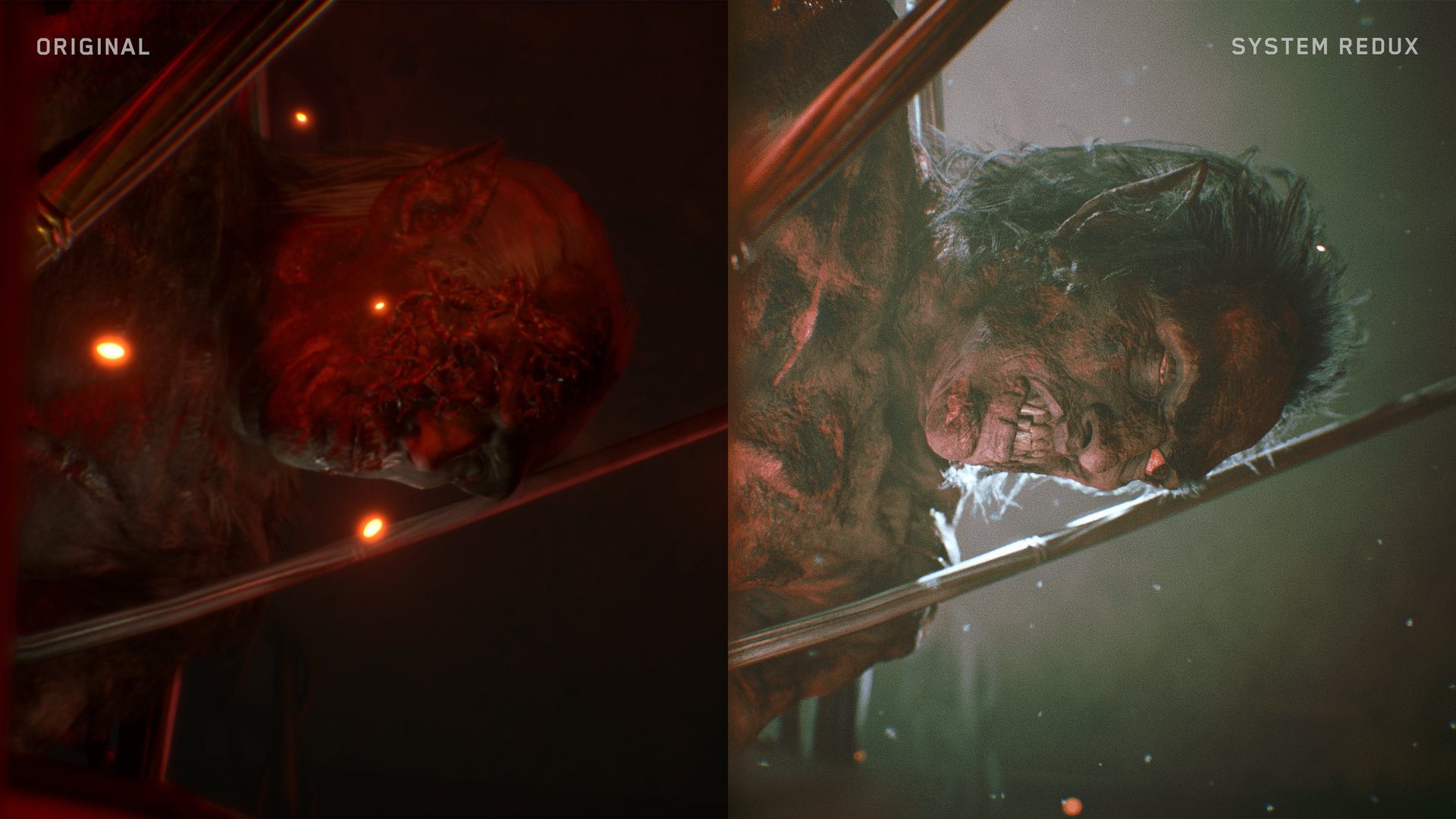 observersr_graphicscomparisonwolfman-head-4444142