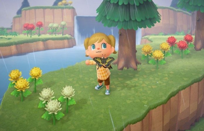 animal crossing new horizons