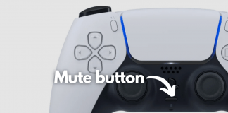 ps5-controller-mute-button