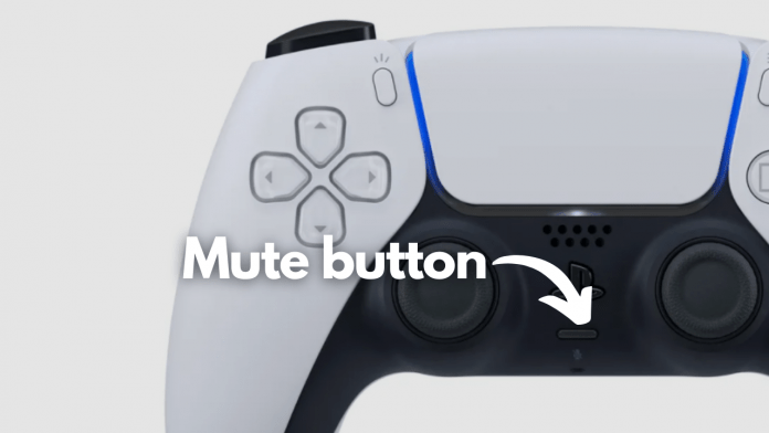 ps5-controller-mute-button