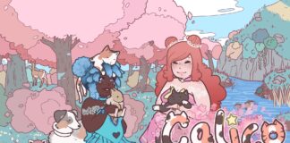 calico-switch-hero