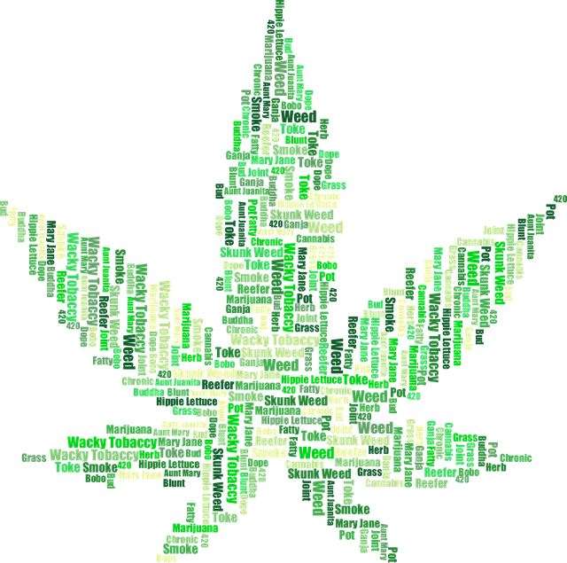 marijuana-drugs-cannabis