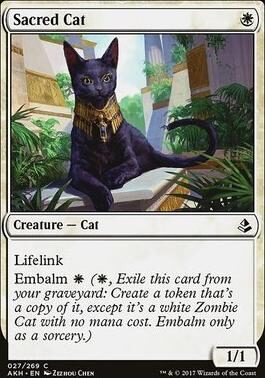 sacred-cat-74138-medium-5696293