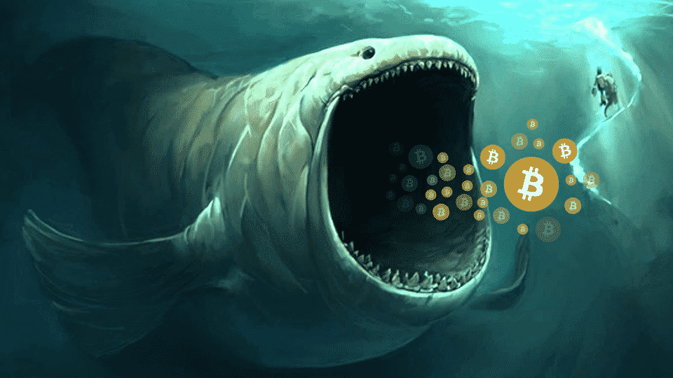 bitcoin-whales-sell-off-6868458