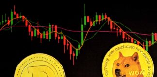 crypto_news_shiba_inu_coin_dogecoin