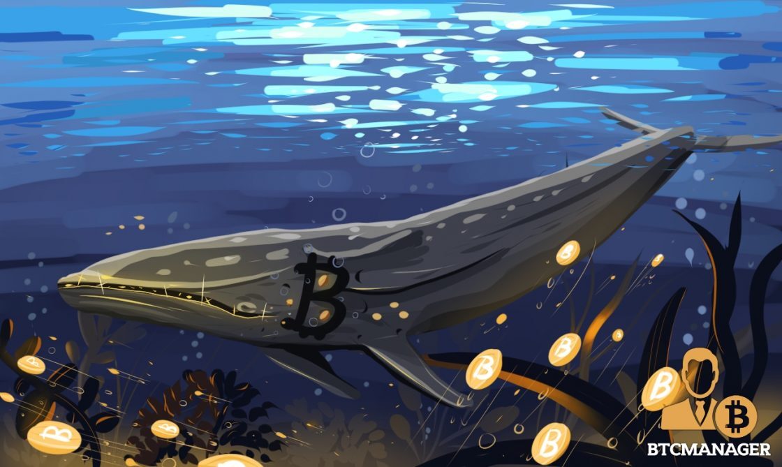 the-not-so-killer-whales-of-bitcoin-1120x669-8967493