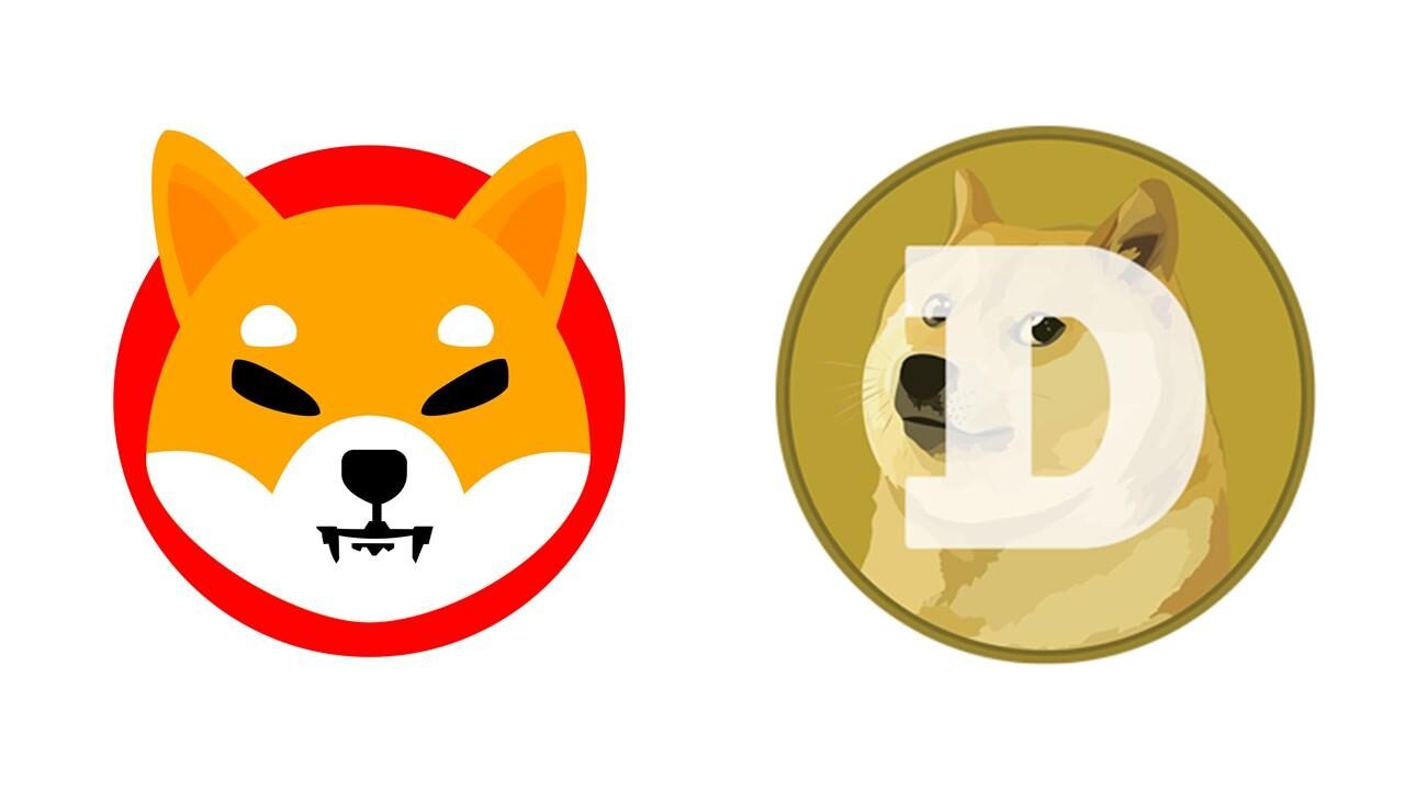 shiba-inu-vs-dogecoin-1631904059799-2076975