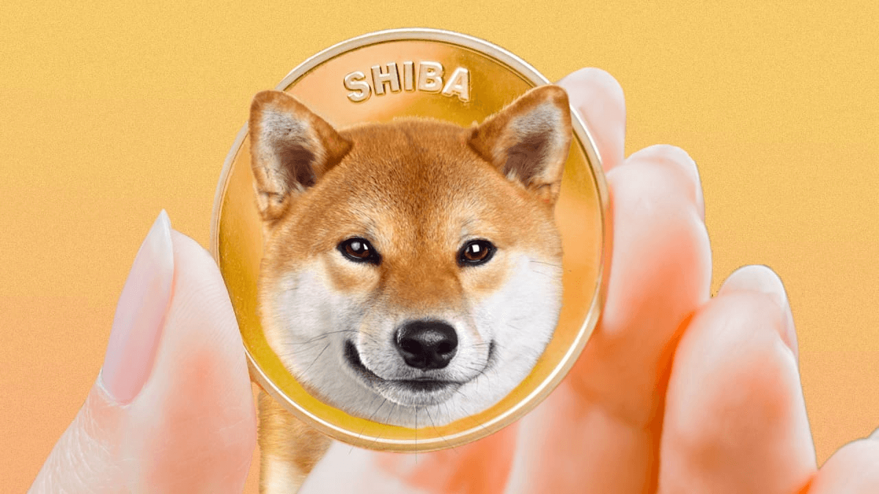 shiba-inu-up-4862749
