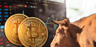 factors-behind-2019-bitcoin-btc-bull-run-speculations-fomo-halvening