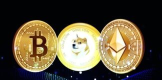 shiba-inu-dogecoin-bitcoin-ethereum-egc-and-dogelon-mars-which-crypto-you-should-buy-for-2022