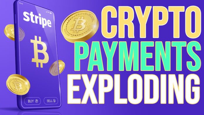 maxresdefault - 2022-01-17T105023.054 maxresdefault-2022-01-17t105023-054