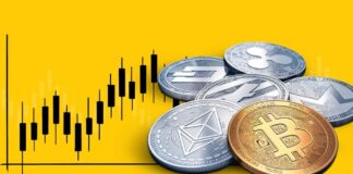 rnk6pbmxsrgnhv2exols_file