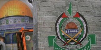 thumbs_b_c_fd1149e3249054c565d33652bdefa6a8