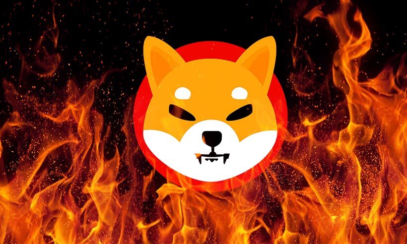 240-million-shiba-inu-destroyed-at-christmas-02-2341317