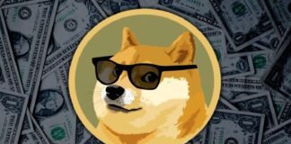 dogecoin-doge-co-founder-thinks-community-should-not-focus-on-price-axvc9gdh