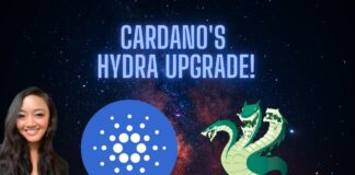 maxresdefault-2022-02-07t103149-218