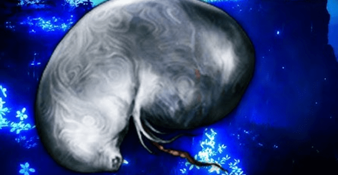 'Elden Ring' Walkthroughs: Where To Spot Every Larval Tear